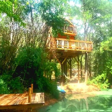 Waller Waterfront Treehouse In A Magical Forest מראה חיצוני תמונה