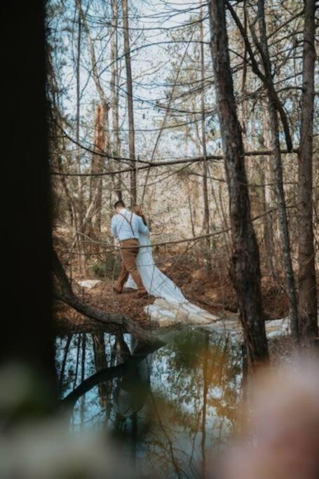 Waller Waterfront Treehouse In A Magical Forest מראה חיצוני תמונה
